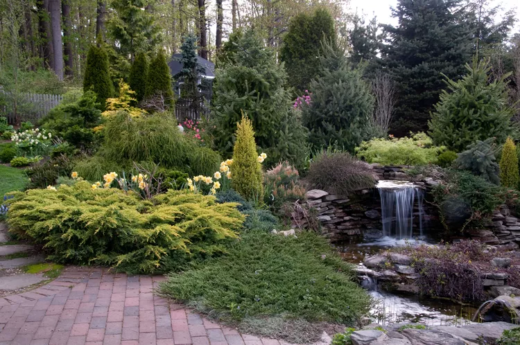 Backyard Waterfall