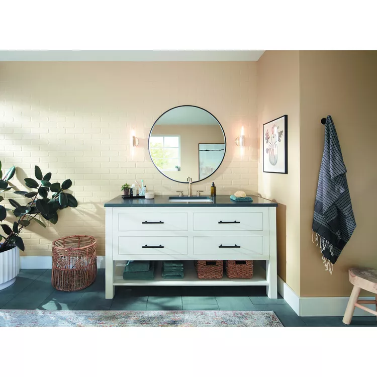 Bathroom Trendy Paint Color