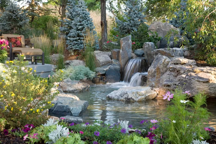 Water Garden Ideas