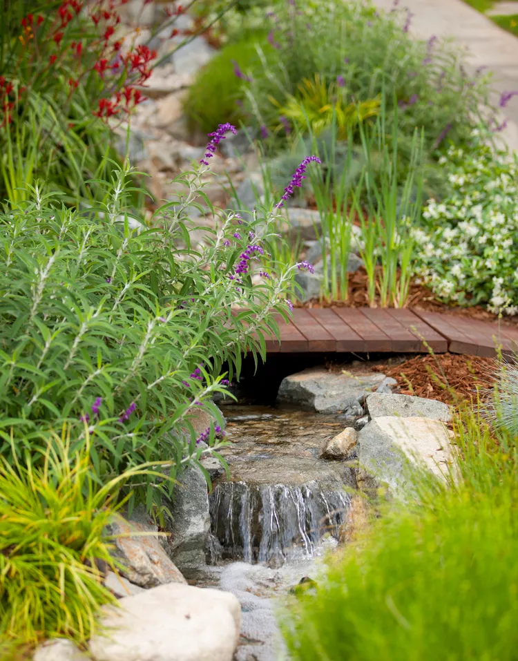 Water Garden Ideas