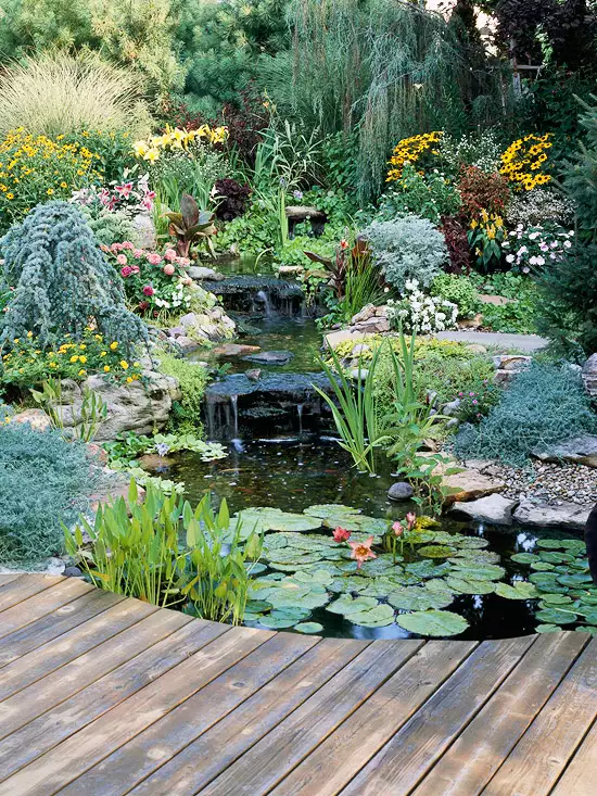 Water Garden